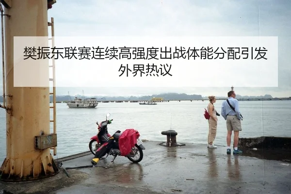 樊振东联赛连续高强度出战体能分配引发外界热议